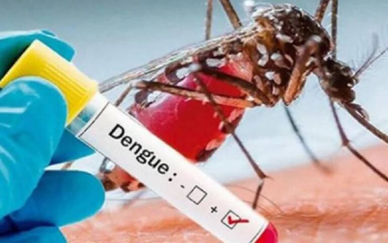 Medidas para prevenir el dengue