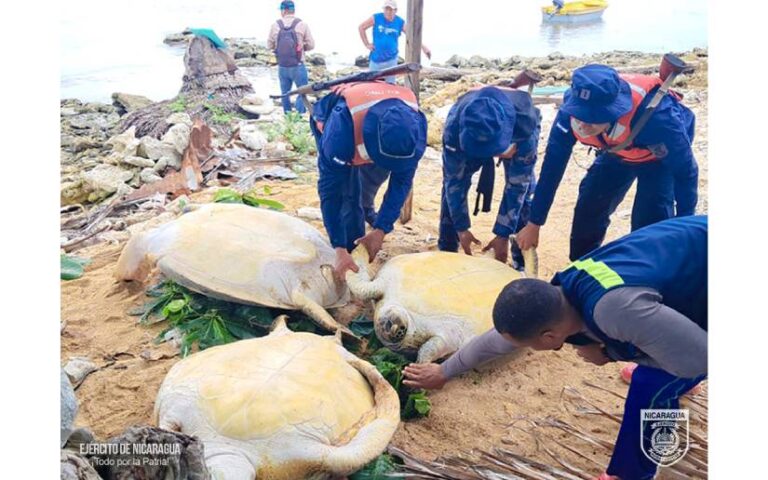 Fuerza Naval acompaña a comisión del Instituto Nicaragüense de la Pesca y Acuicultura