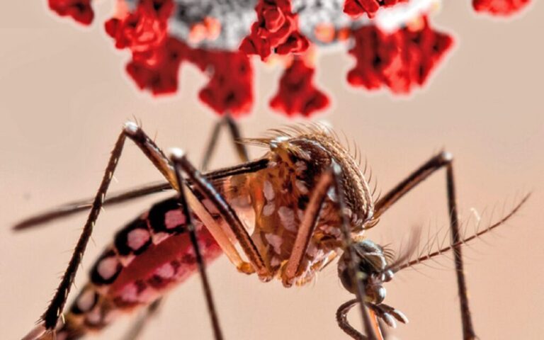 Destacan reducción en casos de Leptospirosis e Influenza