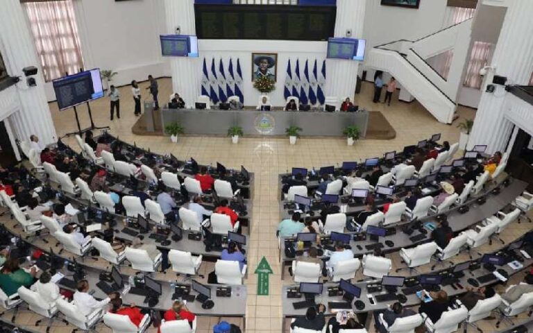 Asamblea Nacional reconocerá decreto “Juventud Patrimonio Nacional de Nuestra Nicaragua”