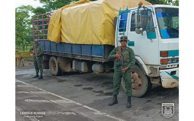 Estos son resultados de los servicios operativos del Batallón Ecológico “BOSAWAS