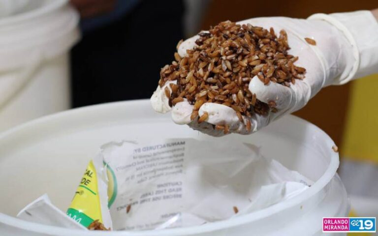 Finaliza Segunda Campaña Nacional de Desratización 2024