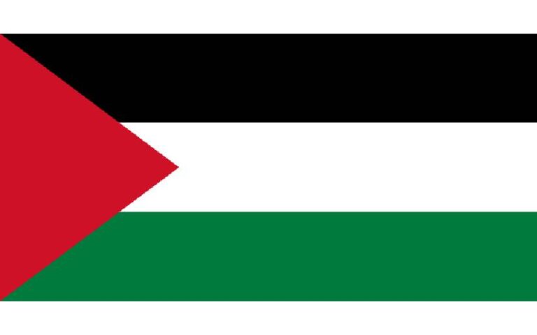 La Flotilla de la Libertad navega bajo la bandera de Nicaragua: una muestra de gratitud