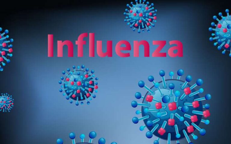 Vicepresidenta informa sobre el comportamiento de las enfermedades epidémicas