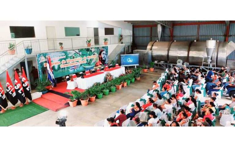 (+ Fotos) Centro de Desarrollo de Moringa Comandante Fidel Castro