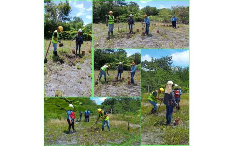 Movimiento Ambientalista reforesta sitios de recarga hídrica y plantas de tratamiento