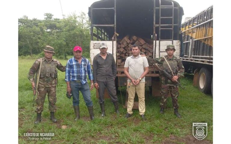 Quinto Comando Militar Regional ocupa madera que era trasladada de manera ilegal
