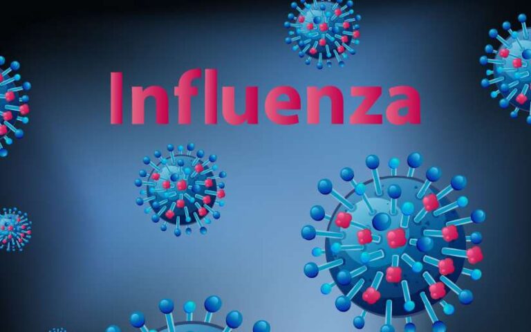 Ministerio de Salud reporta menos contagios de Influenza, Leptospirosis y Malaria