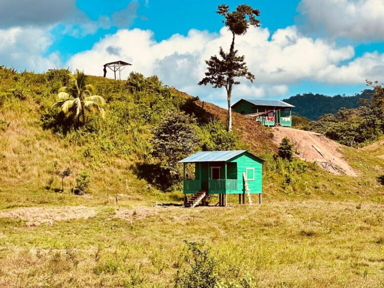 Entregan 20 viviendas a familias de Wilú