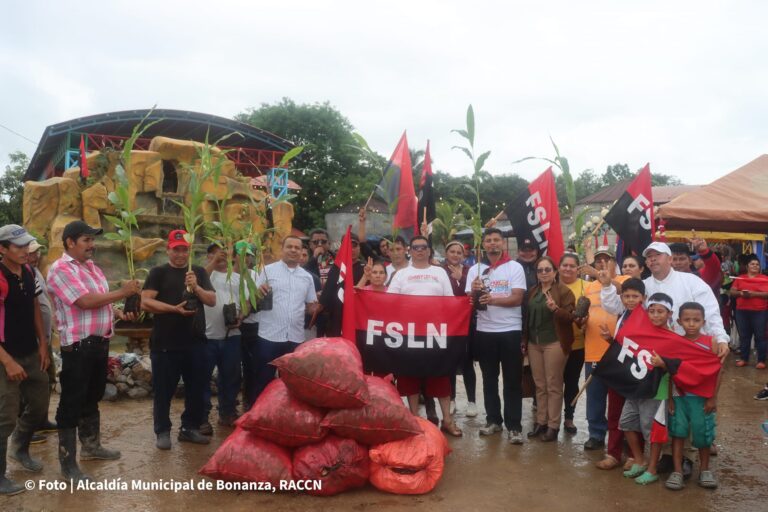 Entregan 45 mil plantas de quequisque lila a cinco productores de Bonanza