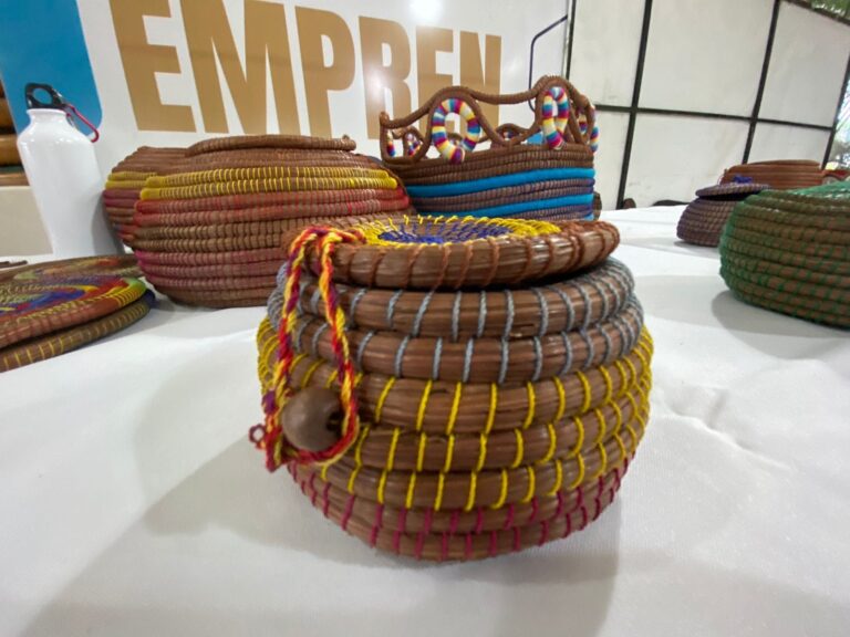 Artesanos de cestería y fibra natural participan en un intercambio de saberes