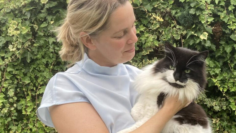 Gato ‘resucita’ y regresa a su casa