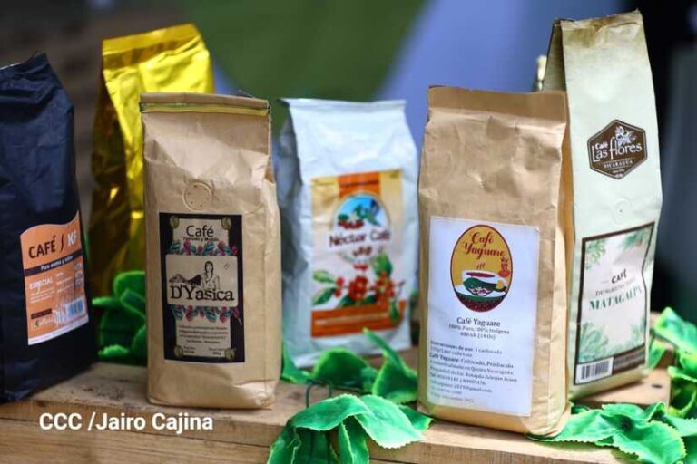 Presidente de BCN da a conocer el incremento de la Producción y Exportación de Café