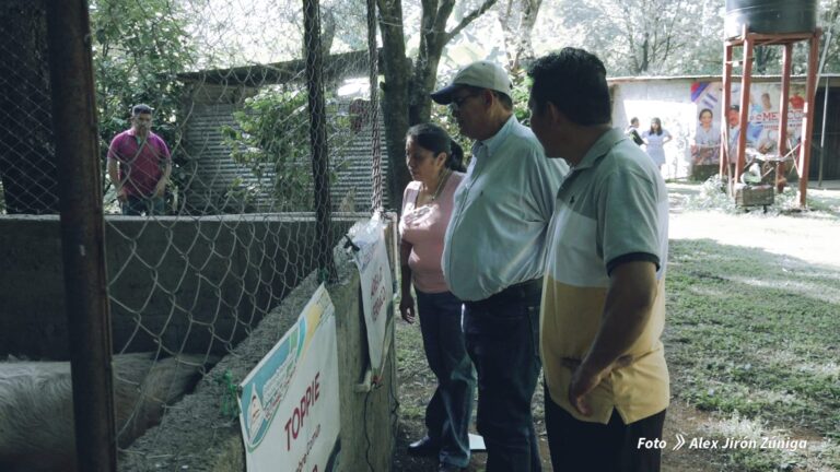 Amplían laboratorio de mejoramiento genético porcino en Masaya