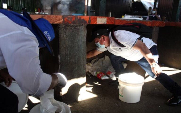 Minsa inicia lll Jornada Nacional de Desratización