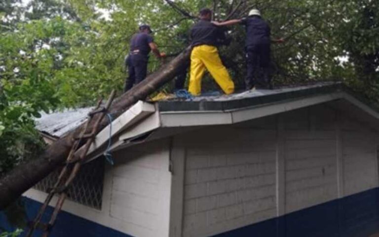 Inician reparación de centros escolares afectados por el huracán Julia