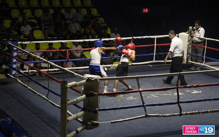 Academias de la Alcaldía participan en cartelera de Boxeo Amateur