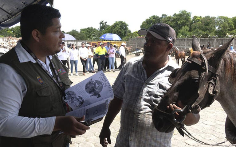 Habilitan Centro de Transferencia de Desechos Sólidos en el distrito VI