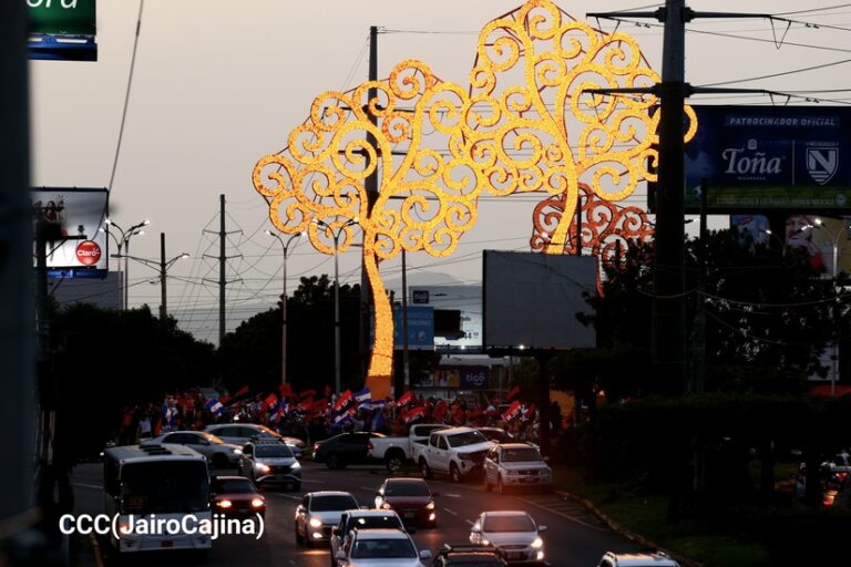 Árboles de la vida iluminarán Managua y otros departamentos