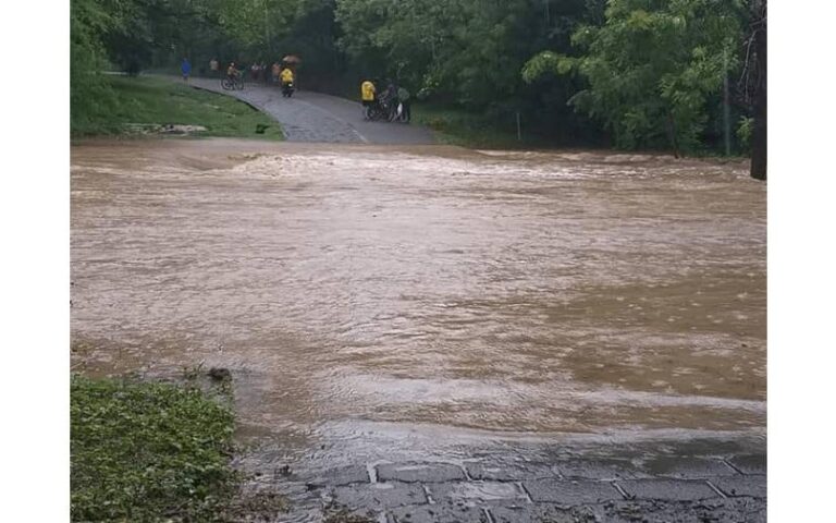 Encuentra cuerpos sin vida de personas que fueron arrastradas por el río La Cálcales