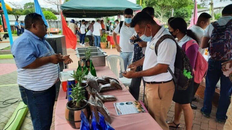 Este fin de semana se estarán realizando 300 ferias en Nicaragua