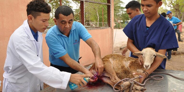 INATEC certifica a 14 mil protagonistas de Escuelas Técnicas en el Campo