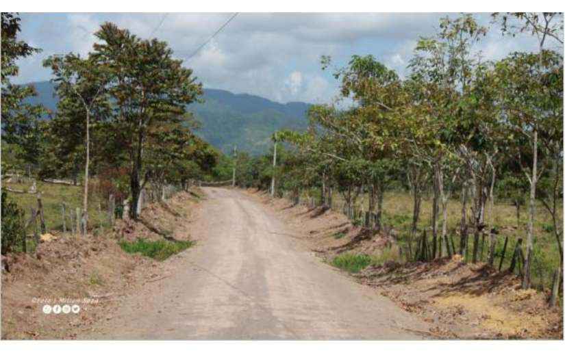 Foto: Cortesía