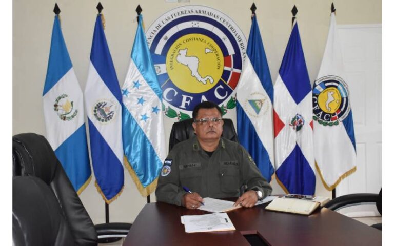 Ejército de Nicaragua en Reunión Virtual entre Especialistas de Sanidad Militar