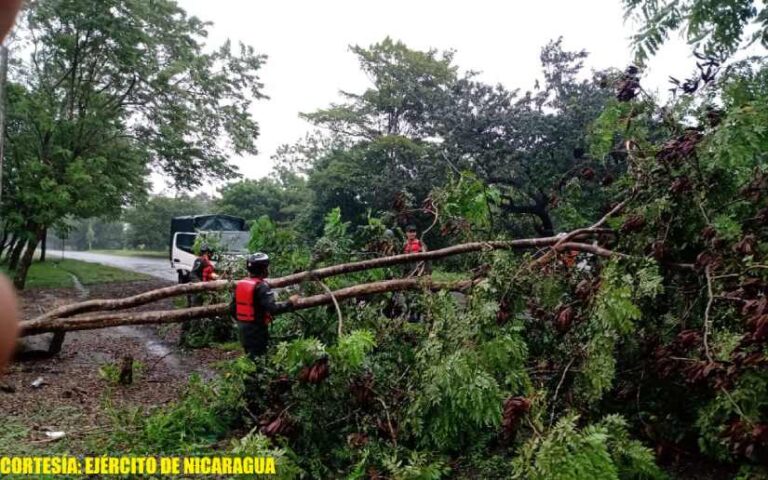 Ejército de Nicaragua realizó remoción de árboles caídos sobre la vía Juigalpa -Managua