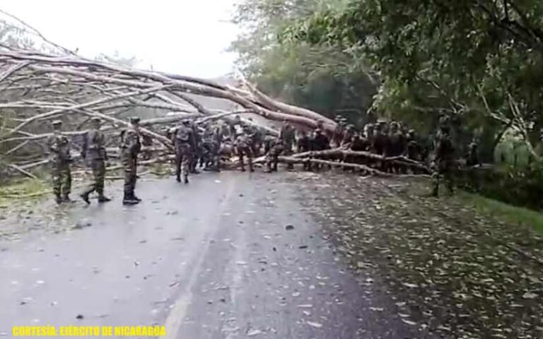 Huracán Julia derribó árboles entre la carretera Chontales y Río San Juan