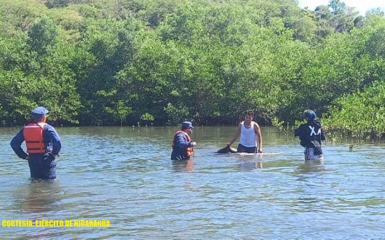 Realizan búsqueda y rescate del cuerpo sin vida de ciudadano en Chinandega
