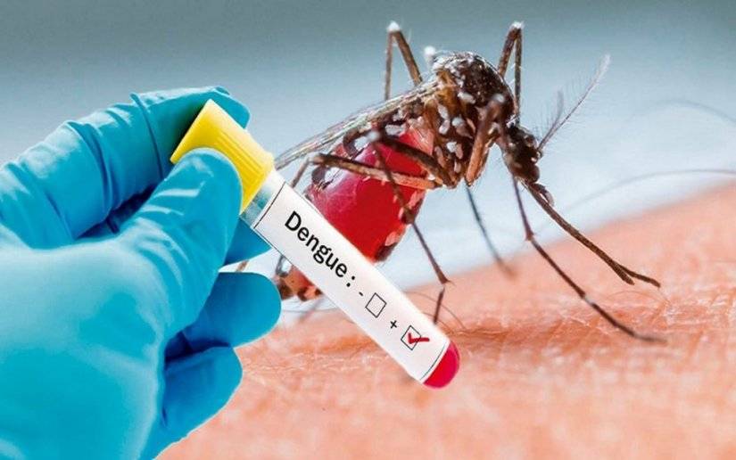 Foto de Referencia :19 Digital/Casos de Dengue