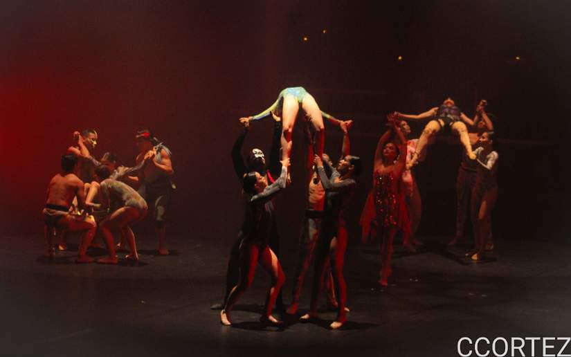 Graduación de Profesionales de Ballet