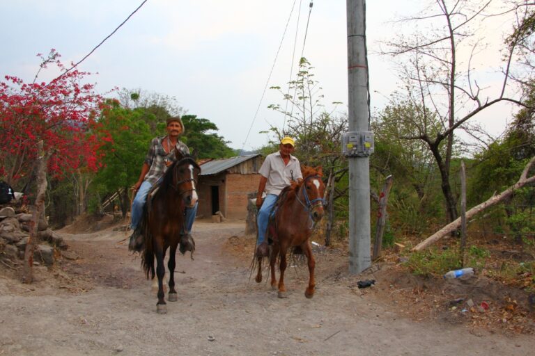 Más familias de Granada cuentan con energía eléctrica