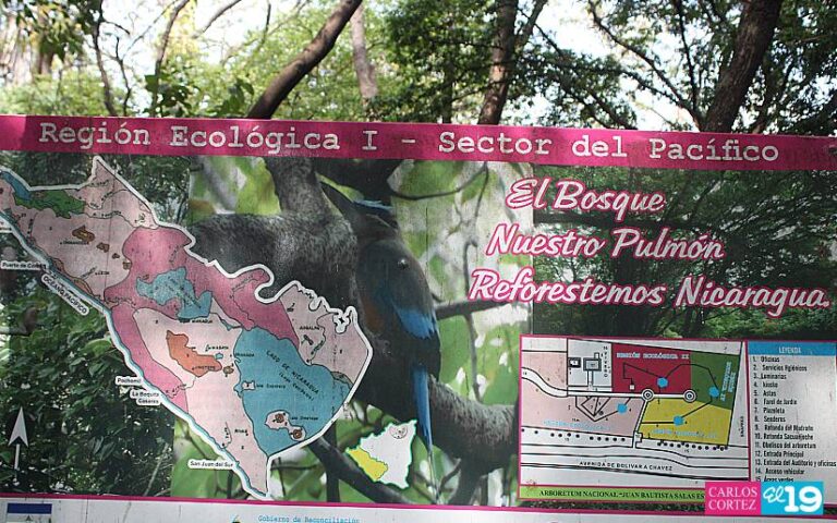 Niños aprenden en el Arboretum Nacional sobre árboles nativos