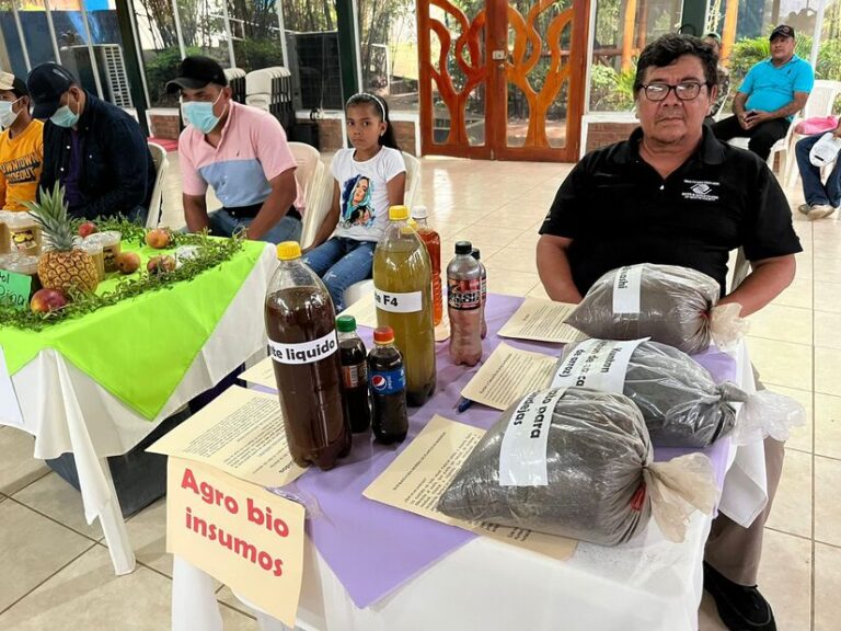 Productores de Managua presentan proyectos innovadores