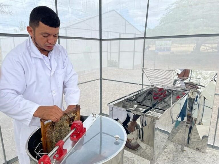 INTA inaugura Centro de Desarrollo de Tecnologías para la Apicultura