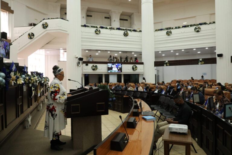 Parlamento dictaminó 29 leyes y decretos en el 2022