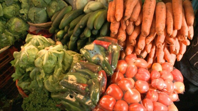 Buena cosecha de hortalizas genera bastecimiento en los mercados