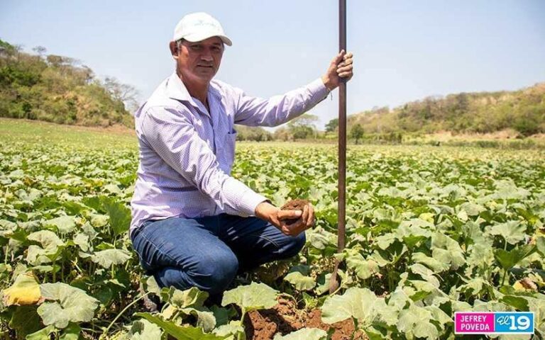 Ministerio Agropecuario de Nicaragua y sus avances en 17 Años de Batallas Victoriosas