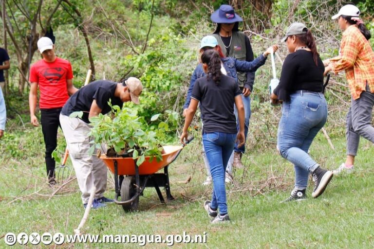 Campaña Nacional de Reforestación 2024 será lanzada en los próximos días