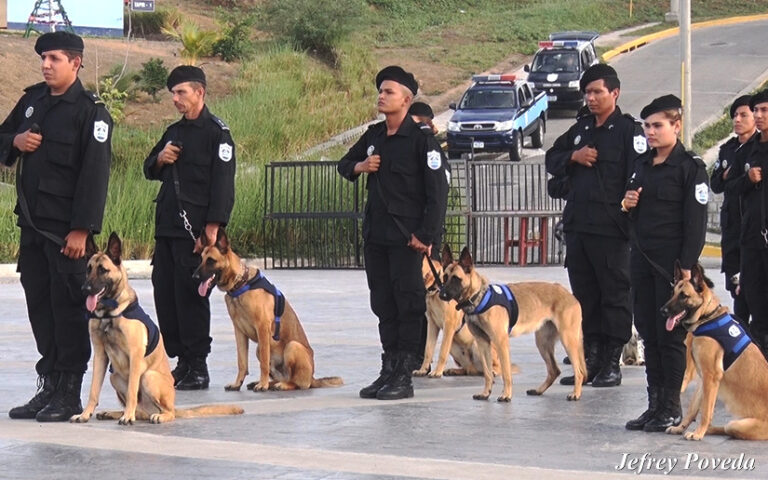 Policía Nacional graduará a más de 40 oficiales en Técnicas Caninas