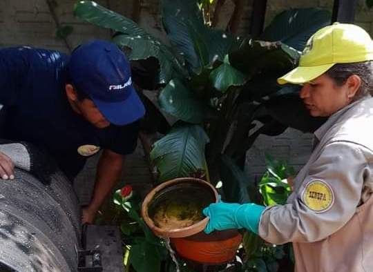 Reportan primera muerte por Chikungunya en Paraguay