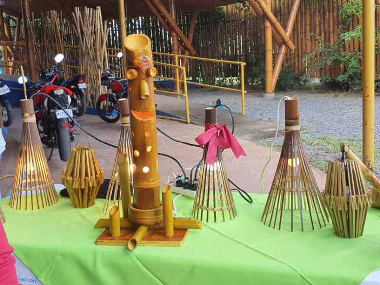 Docentes concluyen curso de bambú