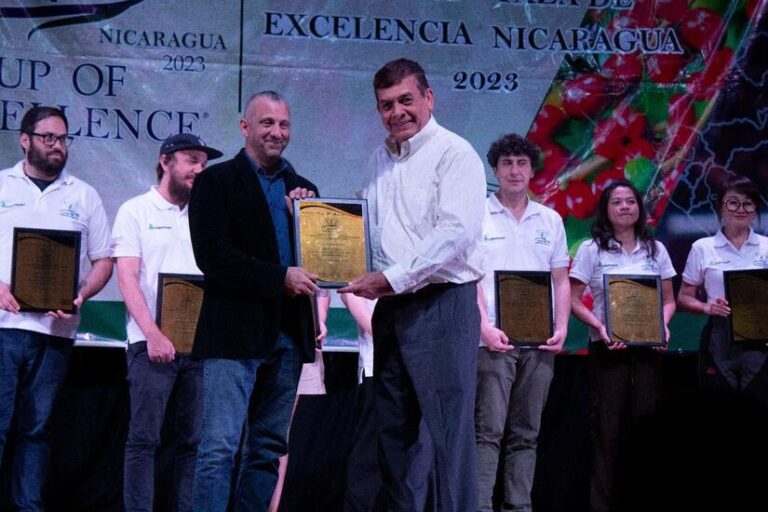 Realizarán Certamen Taza de la Excelencia en Matagalpa el fin de semana