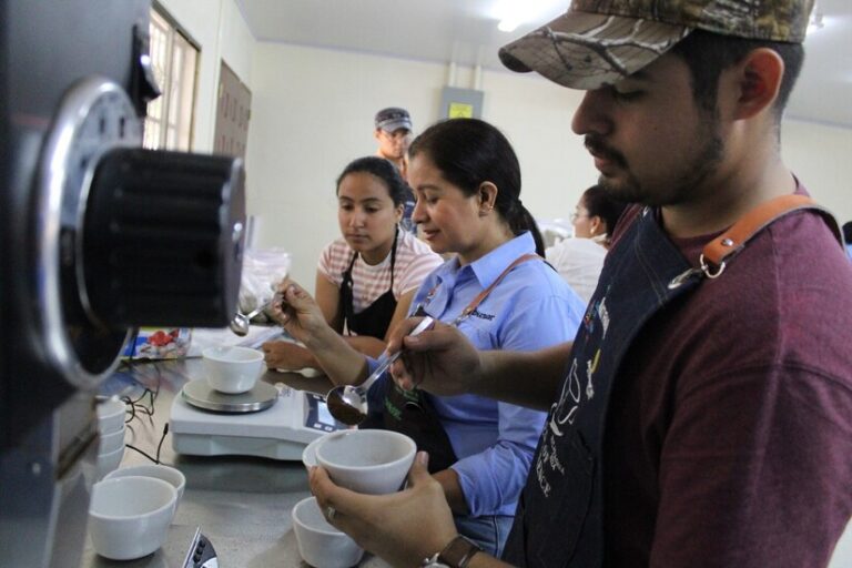 Realizan II etapa de preselección del Certamen Taza de Excelencia Nicaragua 2024