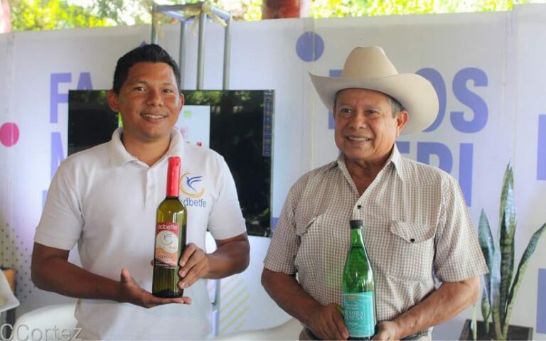 Disfruta de los cuatro días de la Feria Nacional del Vino del MEFCCA