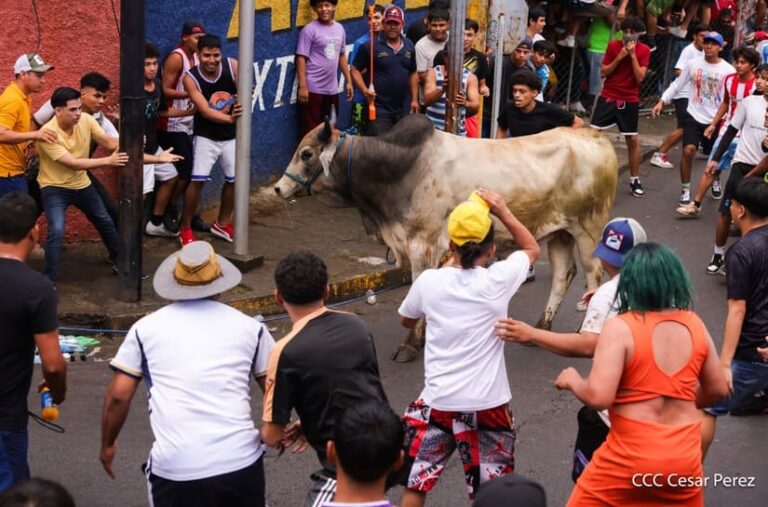 Familias disfrutan de corrida de toros en San José Oriental