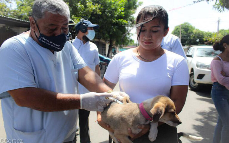 En un 100 por ciento se alcanzó la meta de la Jornada de Vacunación Canina