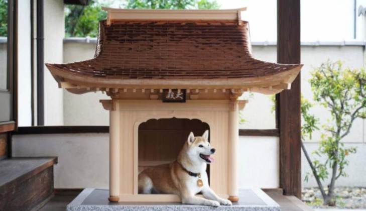 Las casas para perros, una de las más caras del Planeta.